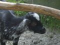 IMGP0808.JPG